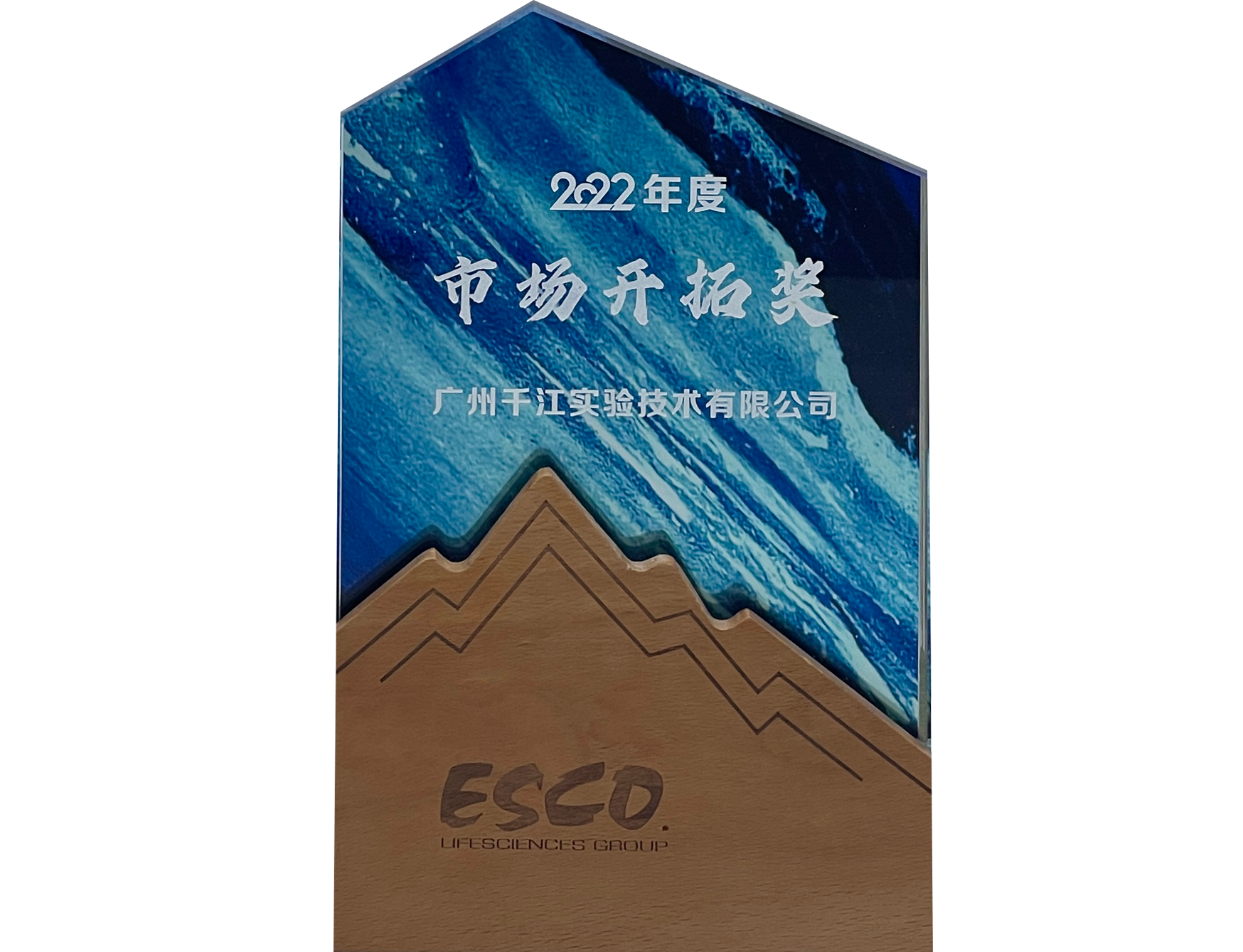 2022年度-ESCO市場開拓獎