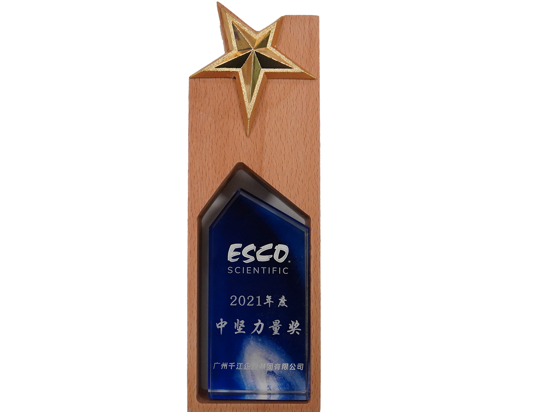 2021年度-ESCO中堅(jiān)力量獎(jiǎng)